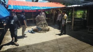 Tindak Tegas! Polres Ponorogo Bubarkan 3 Titik Judi Sabung Ayam dan Dadu
